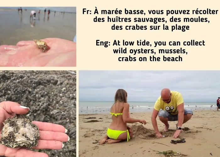 Bed & Breakfast Le Vieux Manoir Carolles