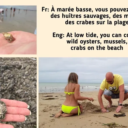 B&B Le Vieux Manoir 캐롤