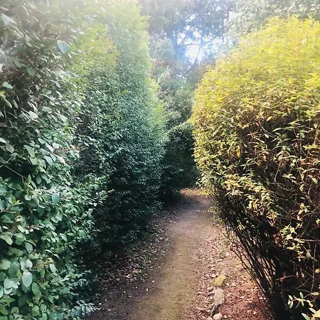 Le Vieux Manoir B&B 캐롤