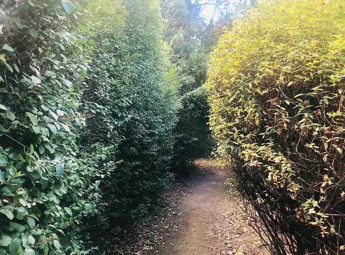 Le Vieux Manoir Bed & Breakfast Carolles